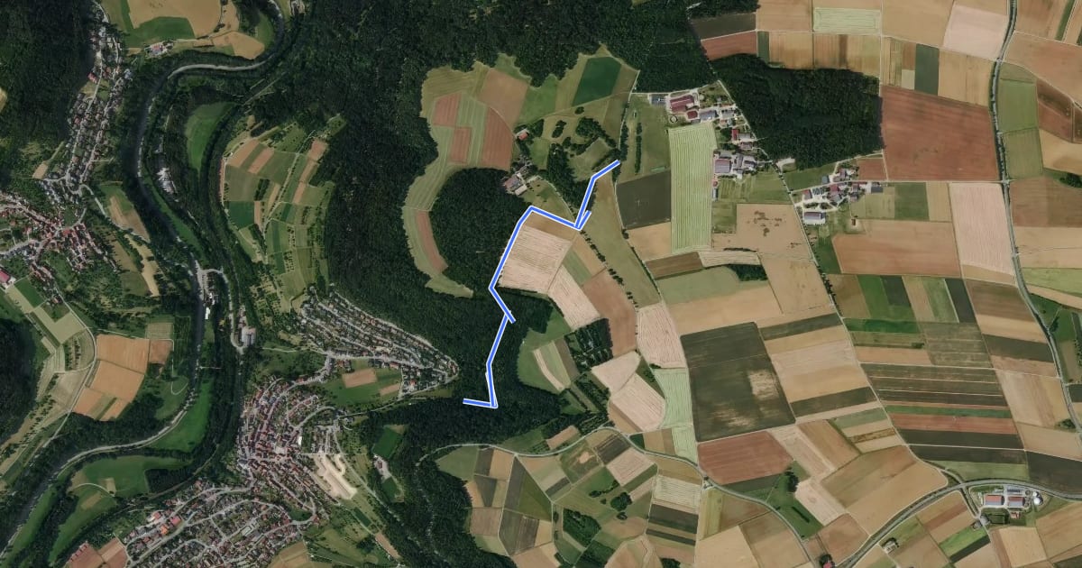 Маршрут Birkensteig - Kühlenberg на спутниковом снимке