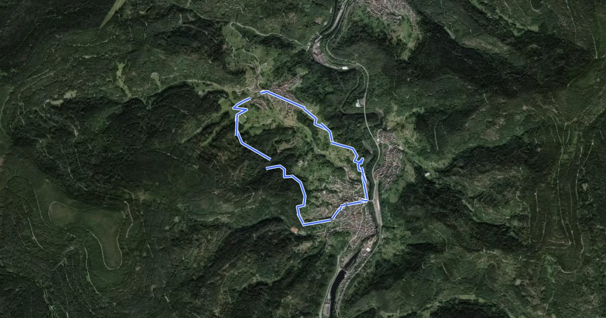 Маршрут Birket-Kirren-Rundweg на спутниковом снимке