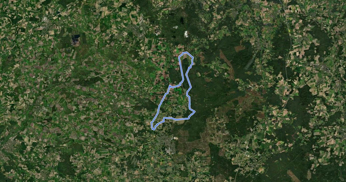 Маршрут Birkhuhn-Route Reitweg на спутниковом снимке