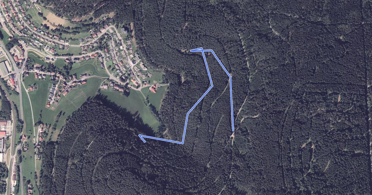 Маршрут Birkles-Hütte - Surrbachwegle на спутниковом снимке