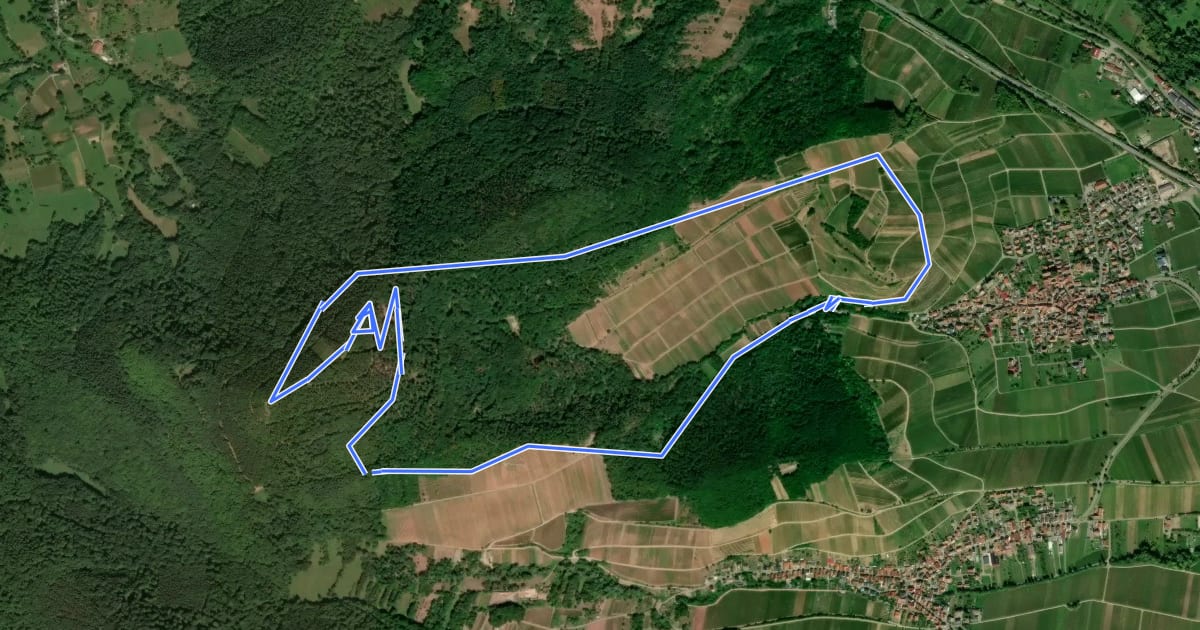Маршрут Birkweiler Rundwanderweg Hohenberg на спутниковом снимке