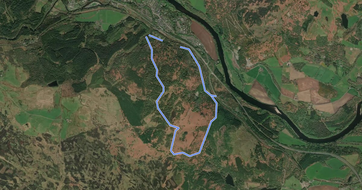 Маршрут Birnam Hill Path на спутниковом снимке