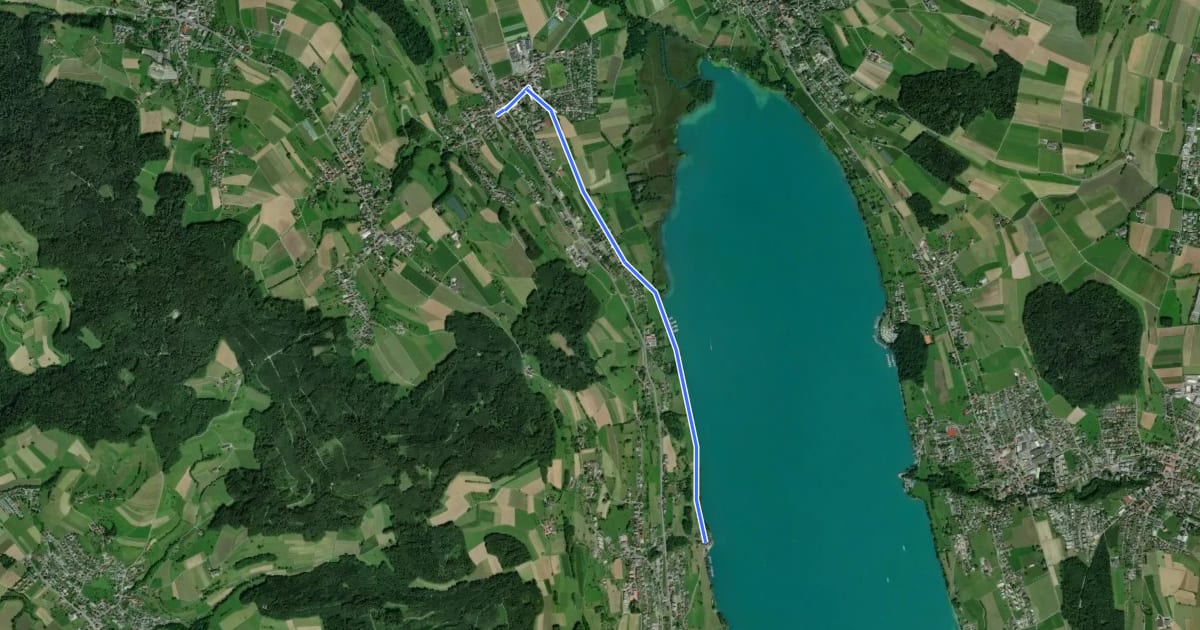 Маршрут Birrwil am See - Boniswil на спутниковом снимке