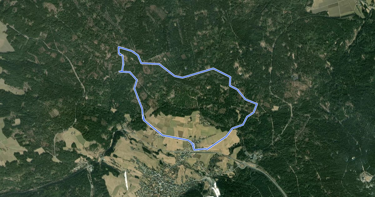 Маршрут Bischofsgrün Rundwanderweg Nr. 1 на спутниковом снимке