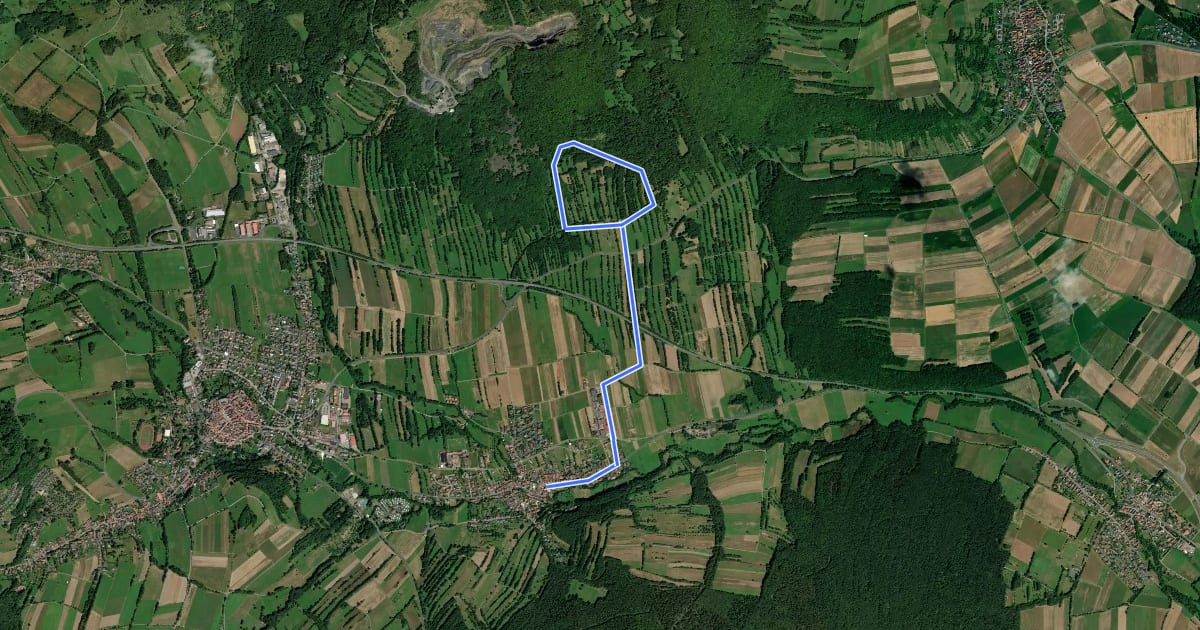 Маршрут Bischofsheim Rundweg 3 Unterweißenbrunn - Zur Geißruheiche на спутниковом снимке