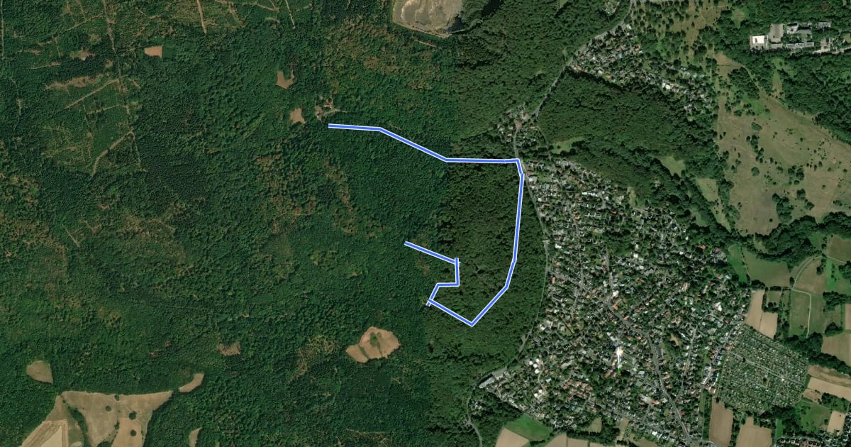 Маршрут Bismarckturm, Naturparkweg 4 на спутниковом снимке