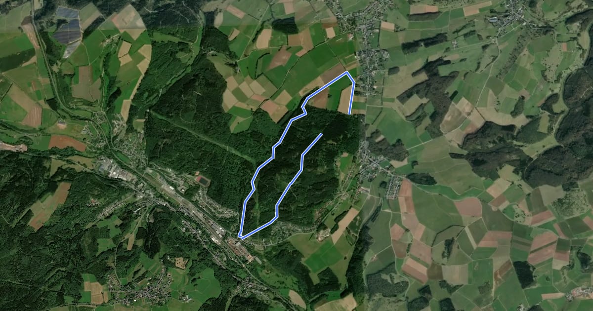 Маршрут Bisselbachtal на спутниковом снимке