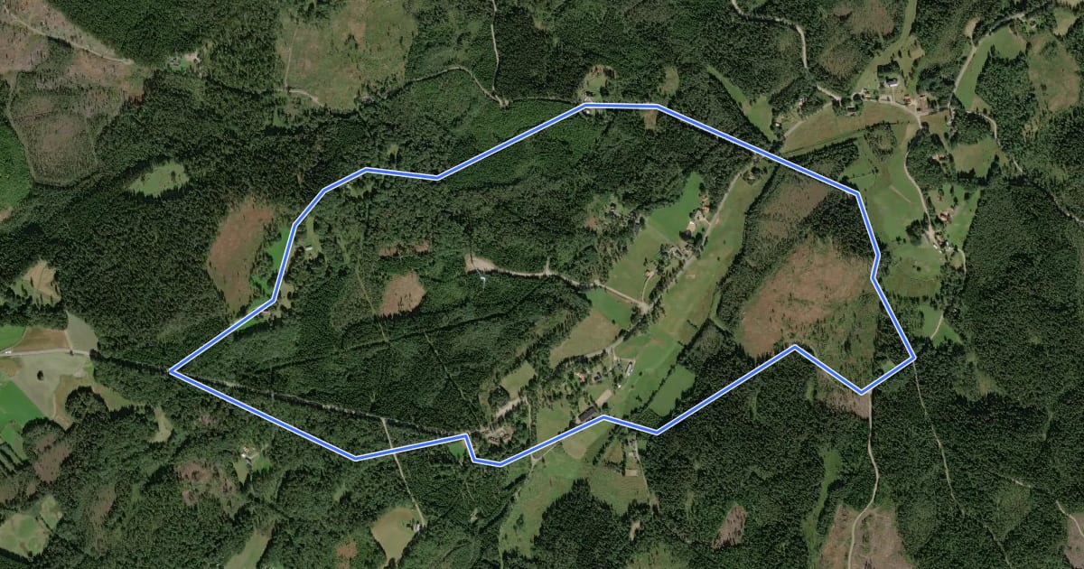 Маршрут Björkåsen Gul 5,5 km на спутниковом снимке