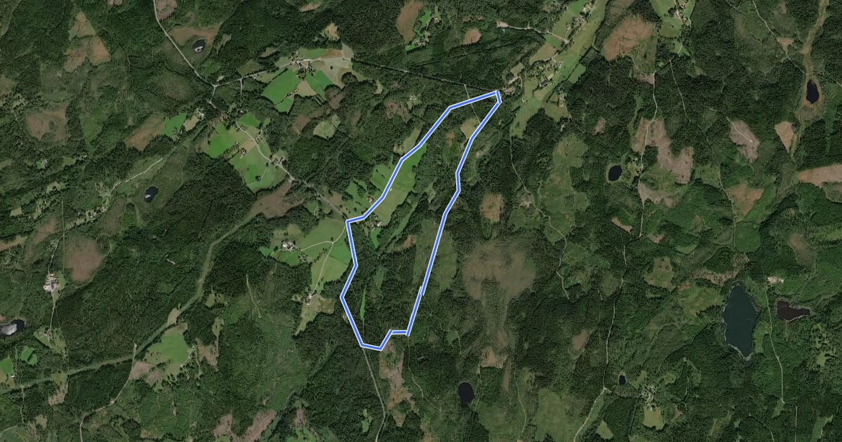 Маршрут Björkåsen Röd 5 km на спутниковом снимке