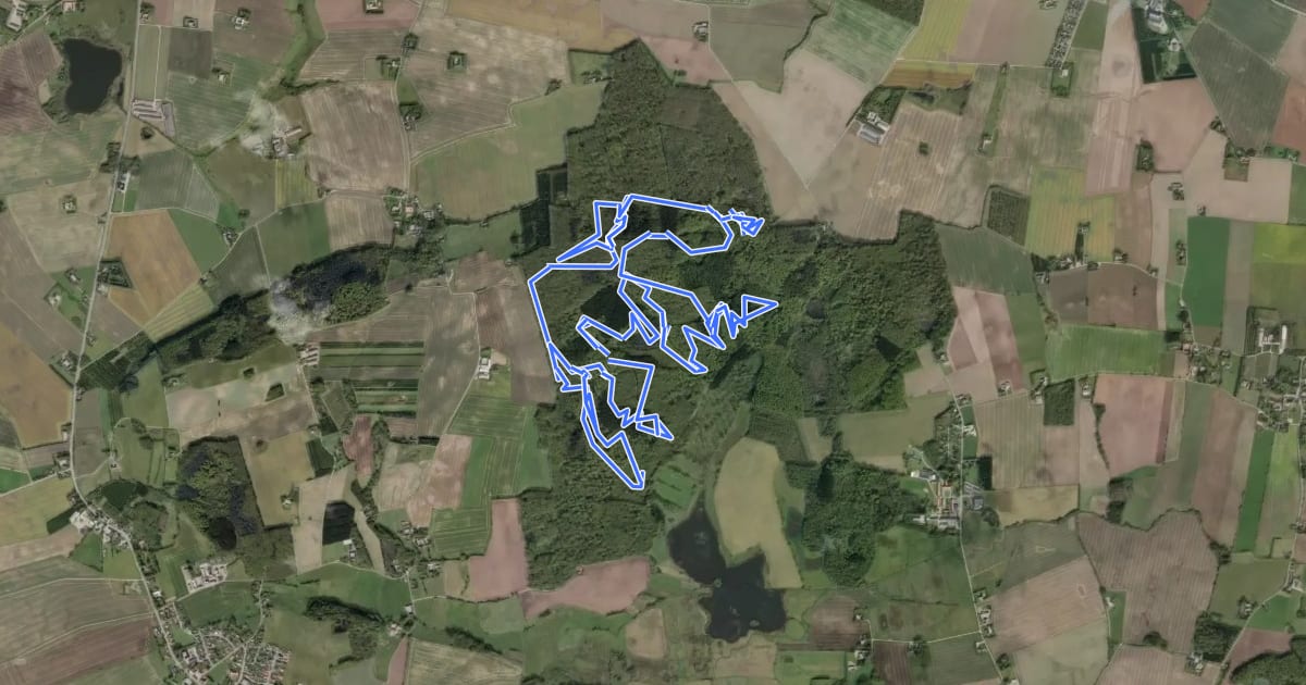 Маршрут Bjerge/Bjerre skov MTB на спутниковом снимке