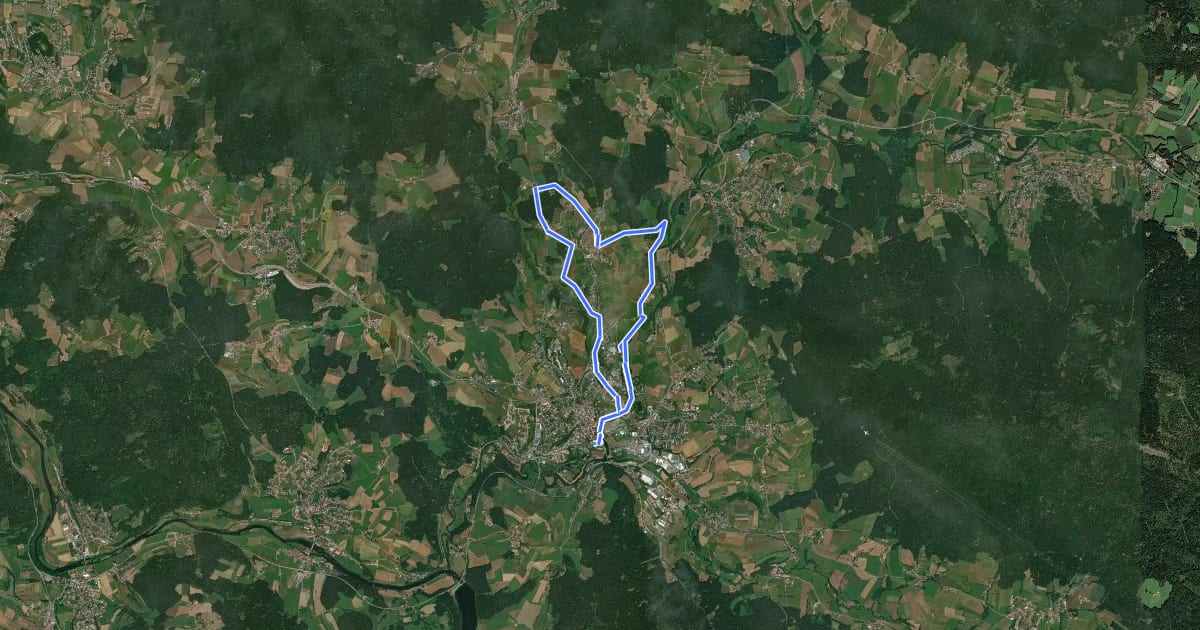 Маршрут Bk04 Rundwanderweg Bachmeierholz на спутниковом снимке