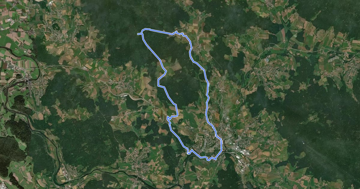 Маршрут Bk05 Rundwanderweg Haidstein Ried на спутниковом снимке