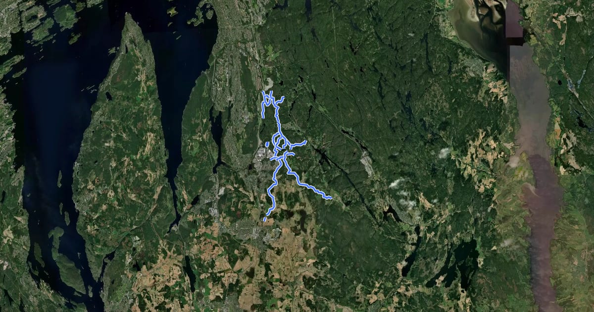 Маршрут Blåstier i Skimarka на спутниковом снимке