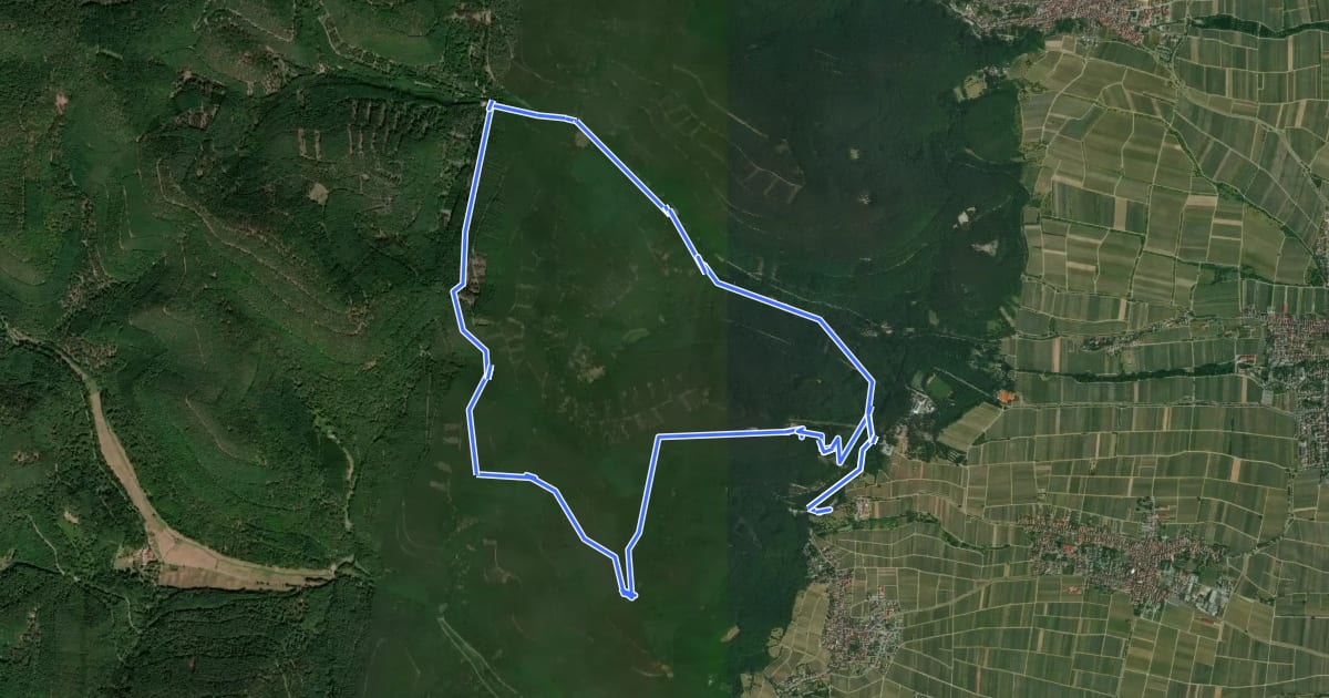 Маршрут Blättersbergweg Rhodt на спутниковом снимке