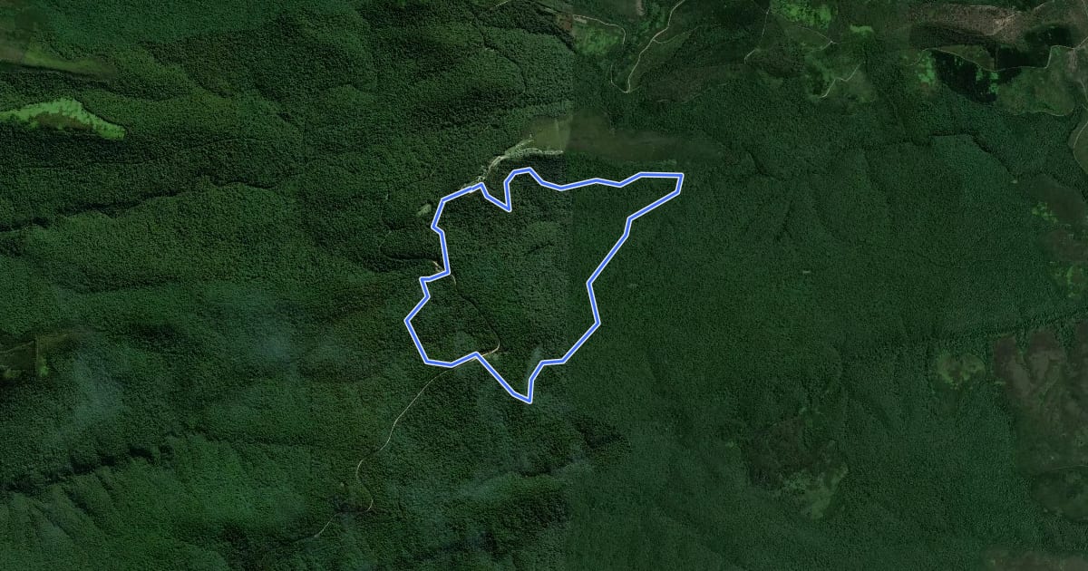 Маршрут Black Elephant Trail на спутниковом снимке