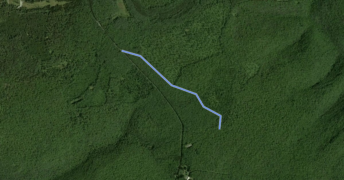Маршрут Black Forest - Harrowed Trail на спутниковом снимке