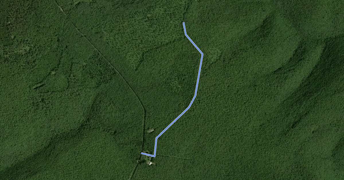 Маршрут Black Forest - Manor Fork на спутниковом снимке