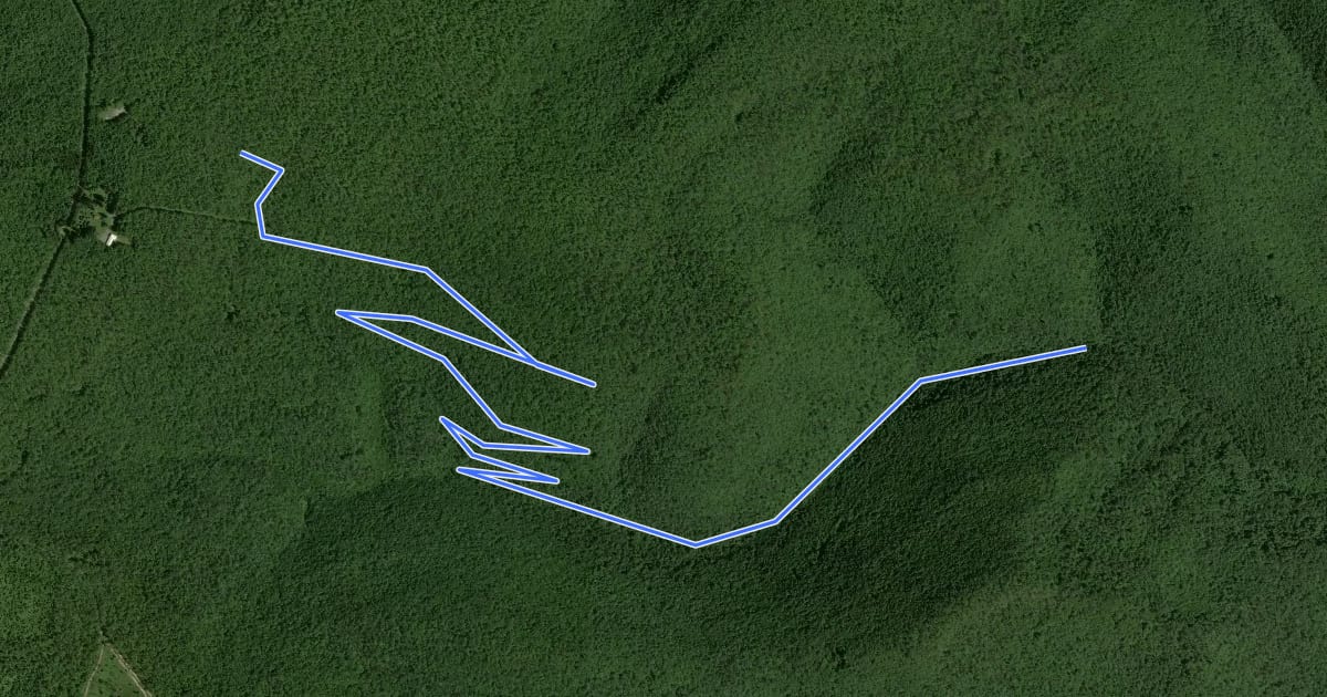 Маршрут Black Forest - Naval Run на спутниковом снимке
