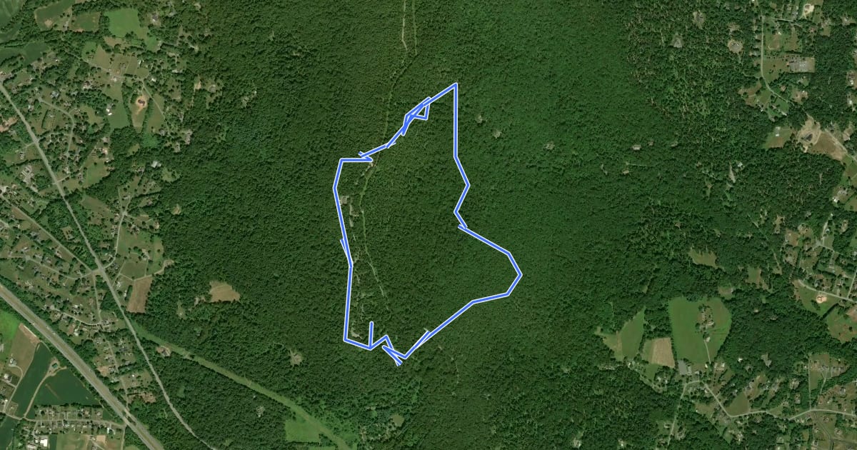 Маршрут Black Locust Trail на спутниковом снимке