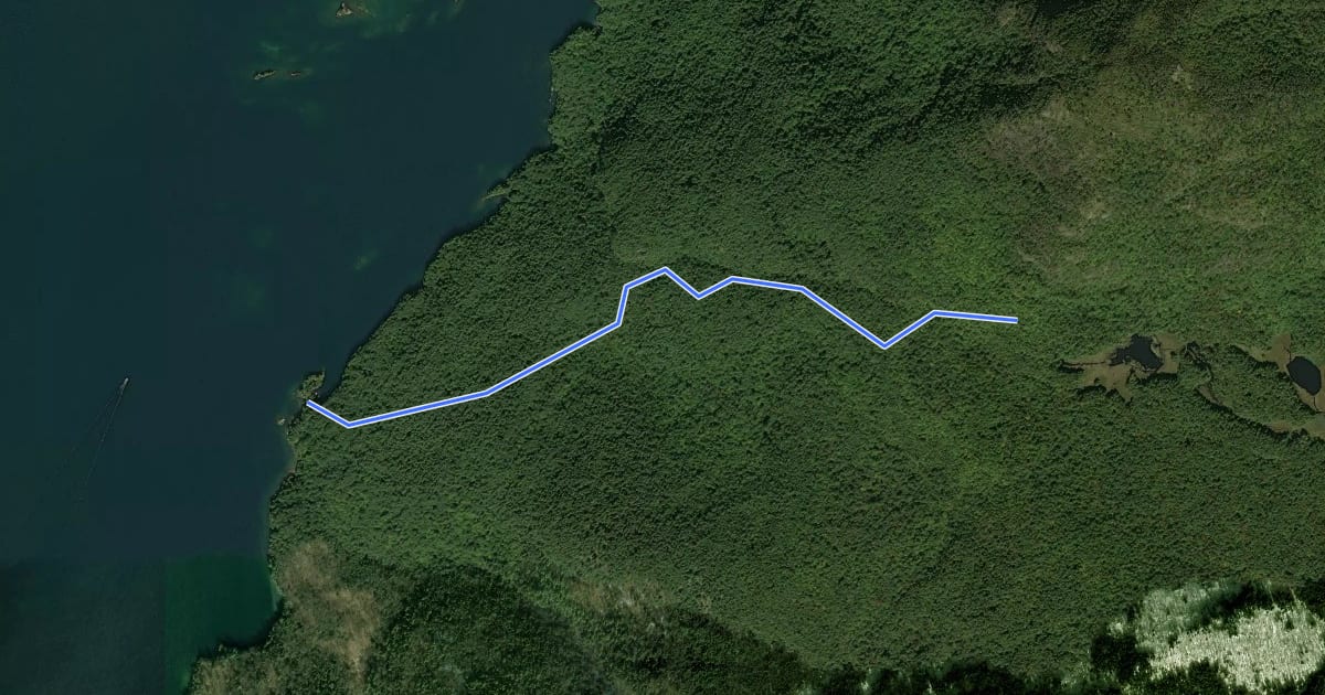 Маршрут Black Mountain Point Trail на спутниковом снимке