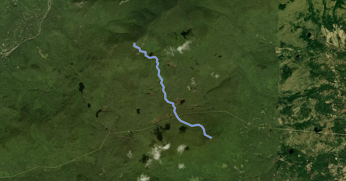 Маршрут Black Mountain Pond Trail на спутниковом снимке