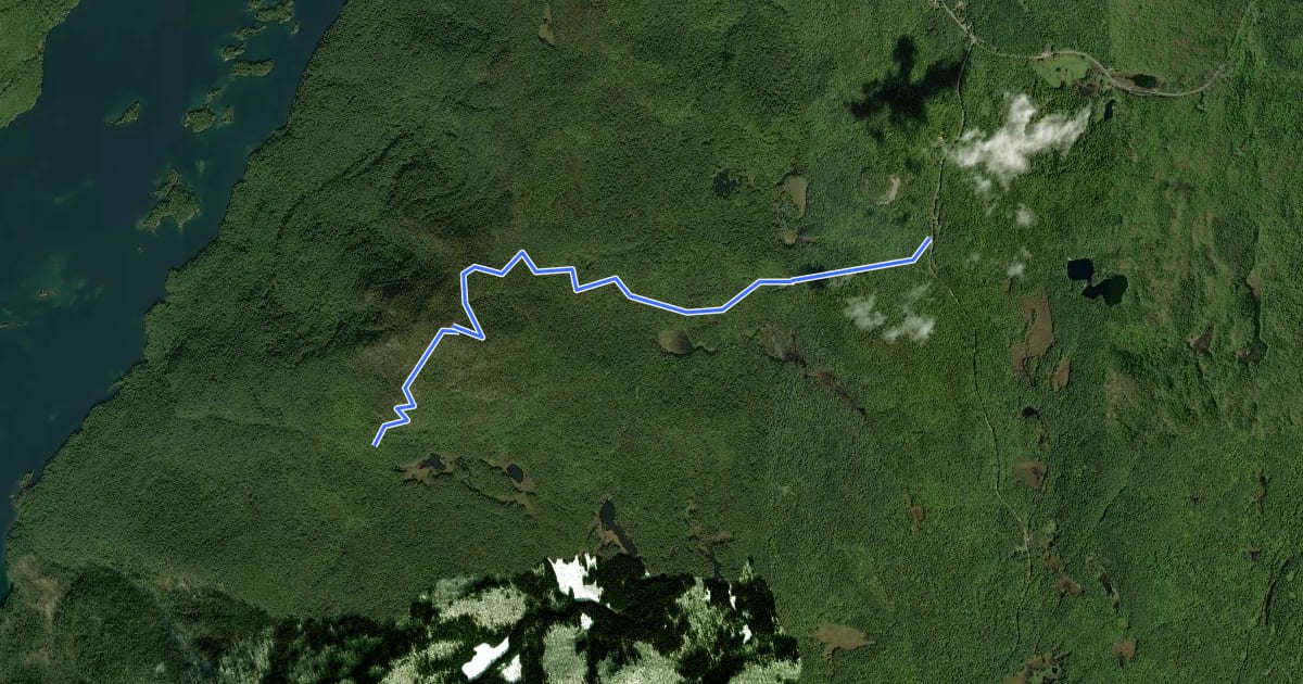 Маршрут Black Mountain Summit Trail на спутниковом снимке