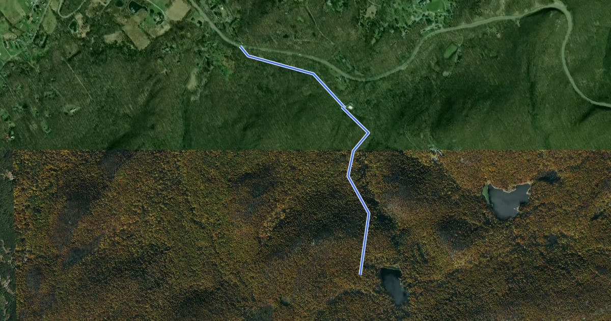 Маршрут Black Rock Hollow Trail на спутниковом снимке
