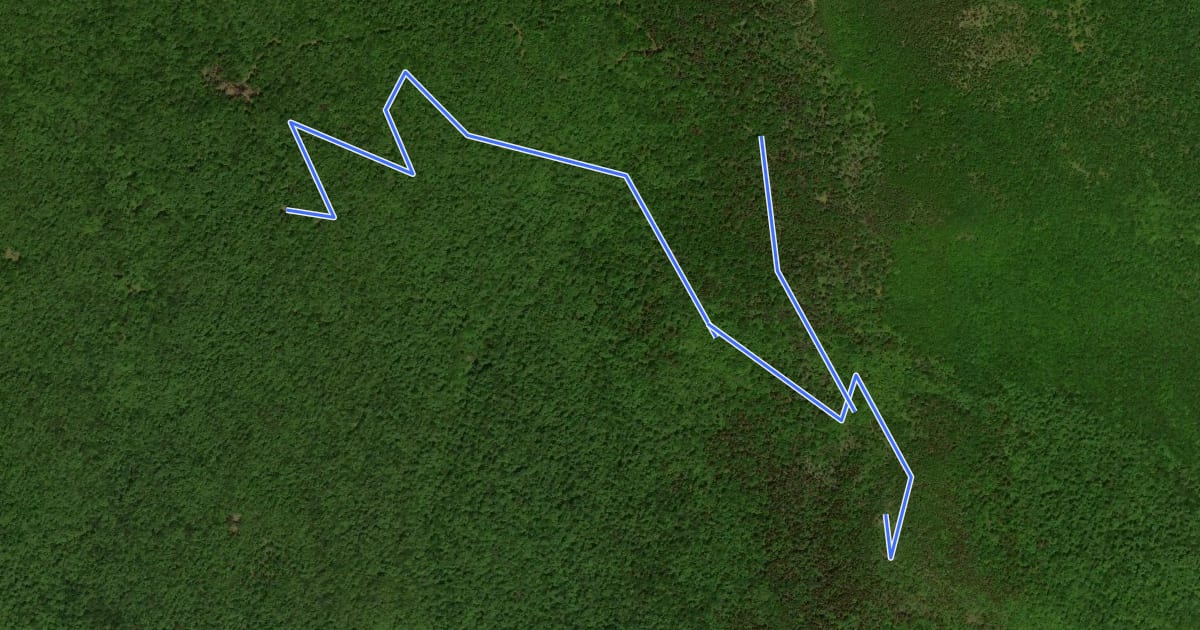 Маршрут Black Snout Trail на спутниковом снимке