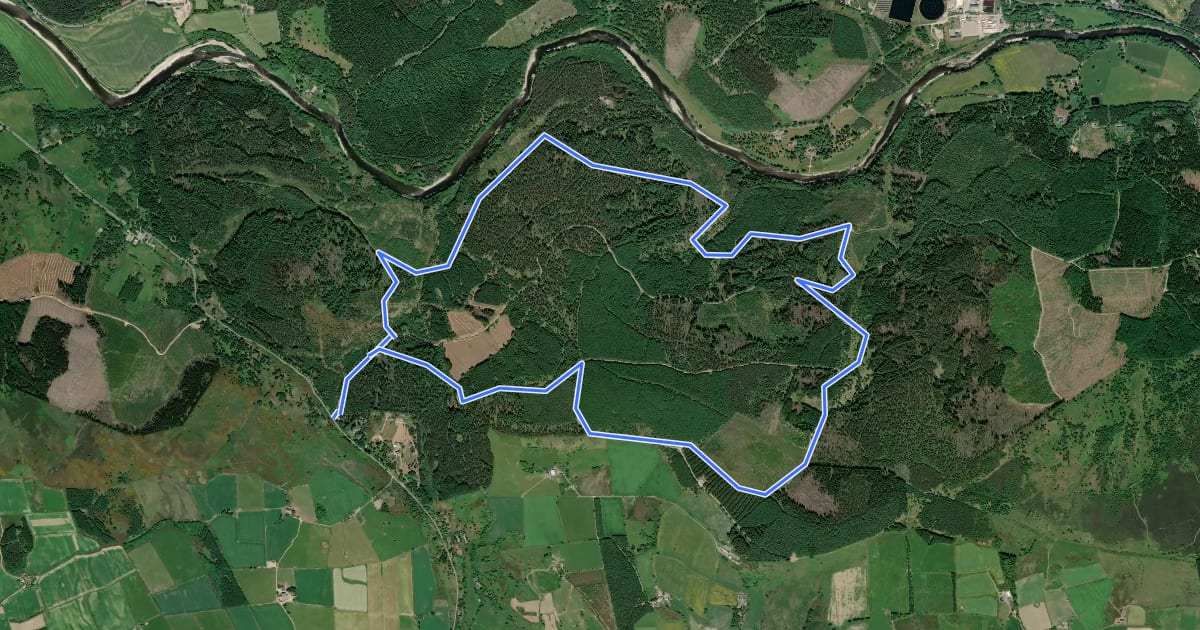 Маршрут Blackhall Loop Trail на спутниковом снимке