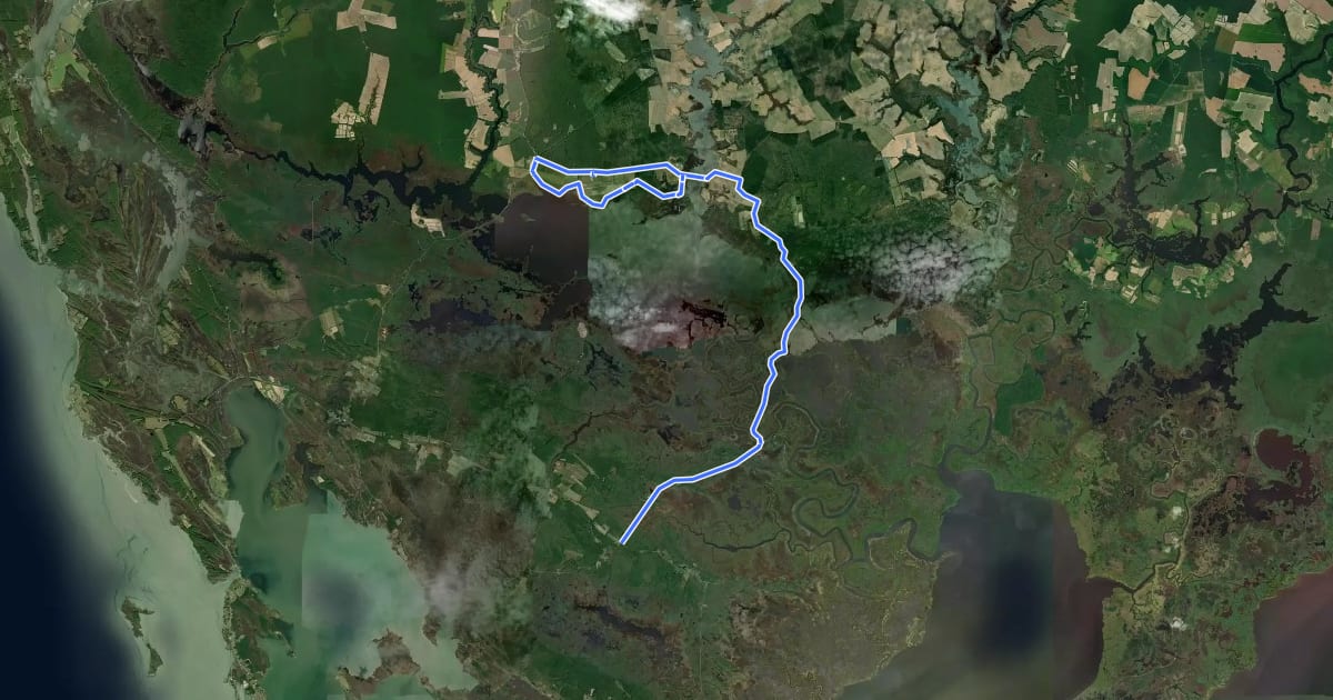 Маршрут Blackwater Wildlife Refuge Out and Back на спутниковом снимке