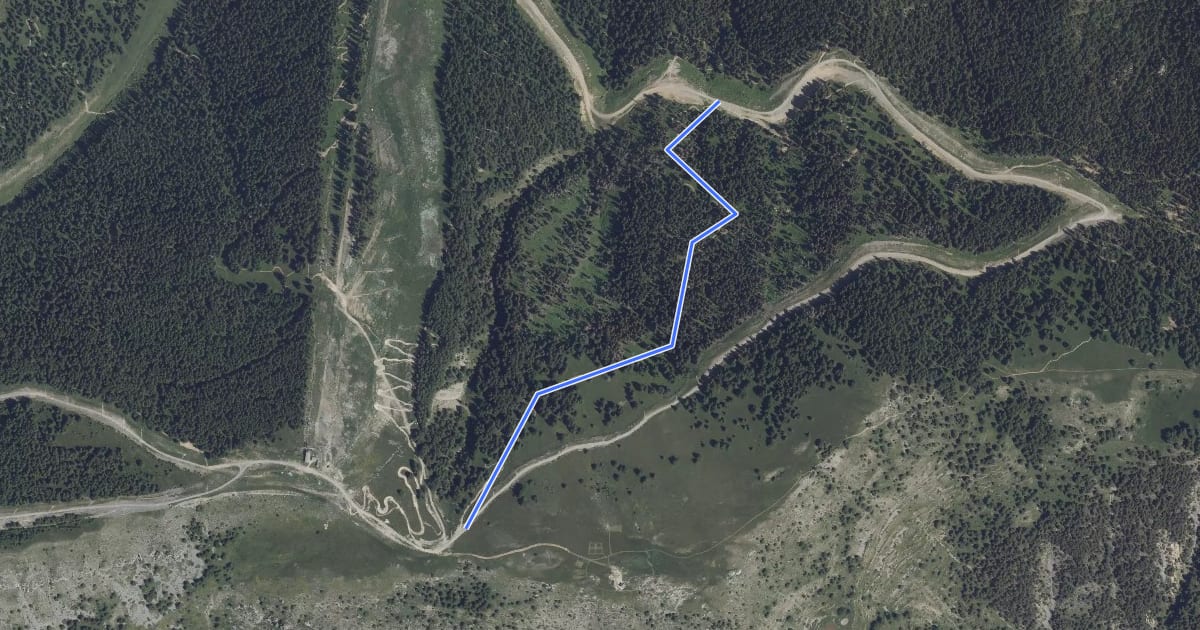 Маршрут Blainon Forest на спутниковом снимке