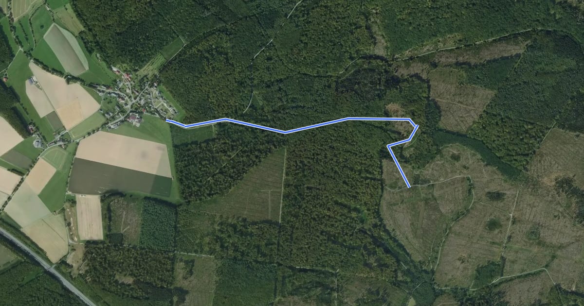 Маршрут Blankenrode Rundweg A1 на спутниковом снимке