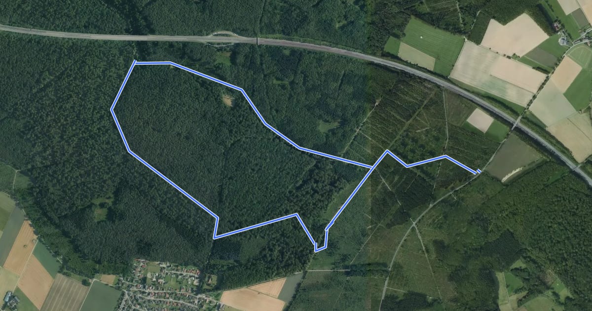 Маршрут Blankenrode Rundweg A14 на спутниковом снимке