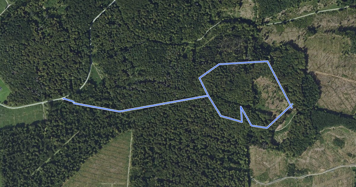 Маршрут Blankenrode Rundweg A3 на спутниковом снимке