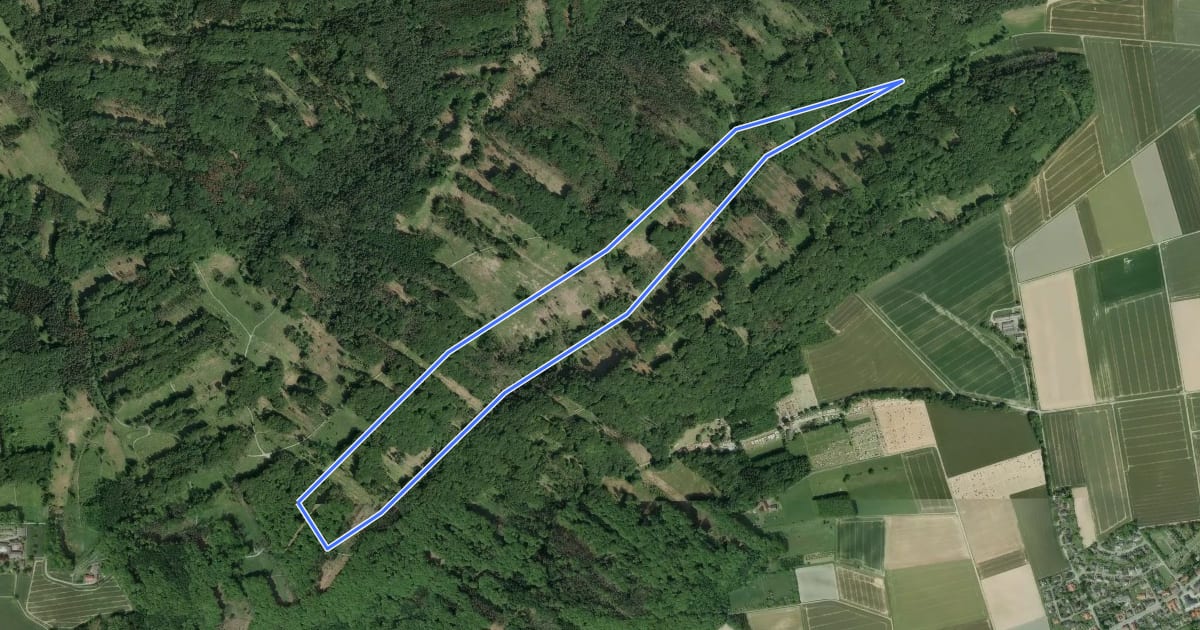 Маршрут Blau gestrichelte Route - Stemweder Berg на спутниковом снимке