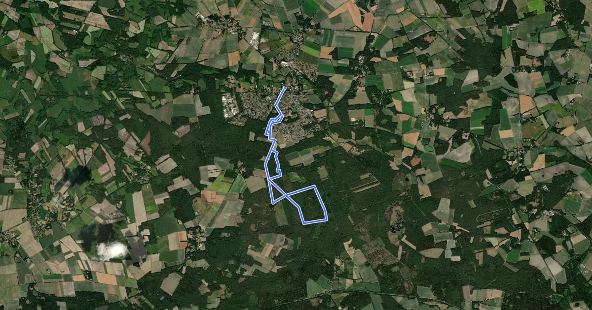Маршрут Blaue Nordic-Walking-Strecke Neuenkirchen на спутниковом снимке