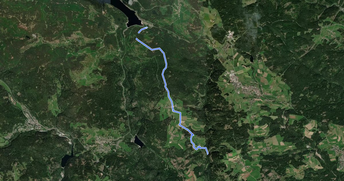 Маршрут blaue Raute Schluchsee - Heidenmühle на спутниковом снимке