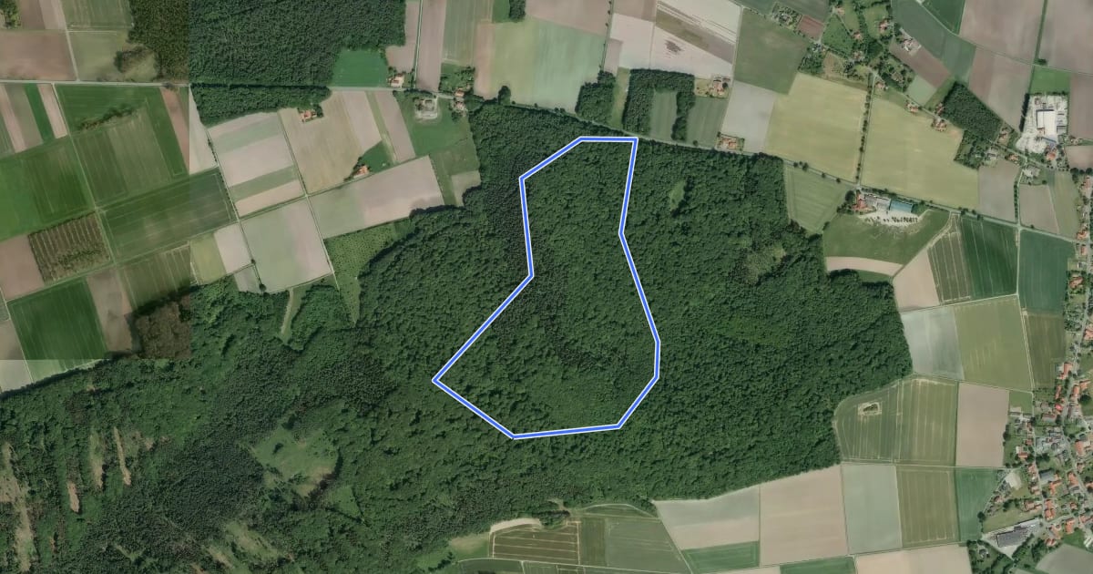 Маршрут Blaue Route - Stemweder Berg на спутниковом снимке