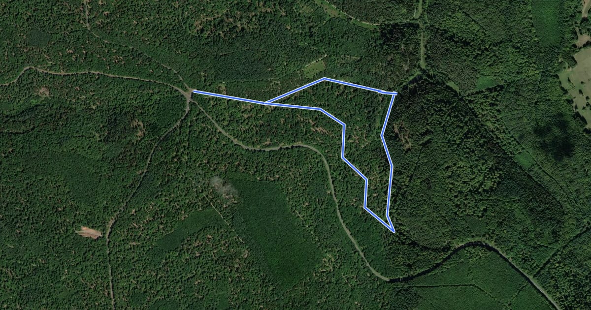 Маршрут Blauer Pilz, Rundwanderweg 7 Wege на спутниковом снимке