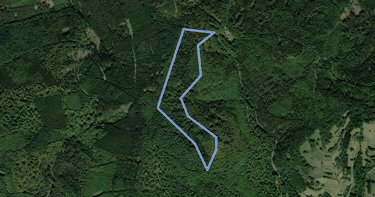 Маршрут Blauer Pilz Rundwanderweg, Bayerische Schanz на спутниковом снимке