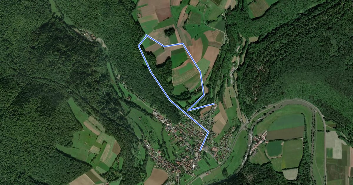 Маршрут Blauer Pilz, Rundwanderweg Gräfendorf на спутниковом снимке