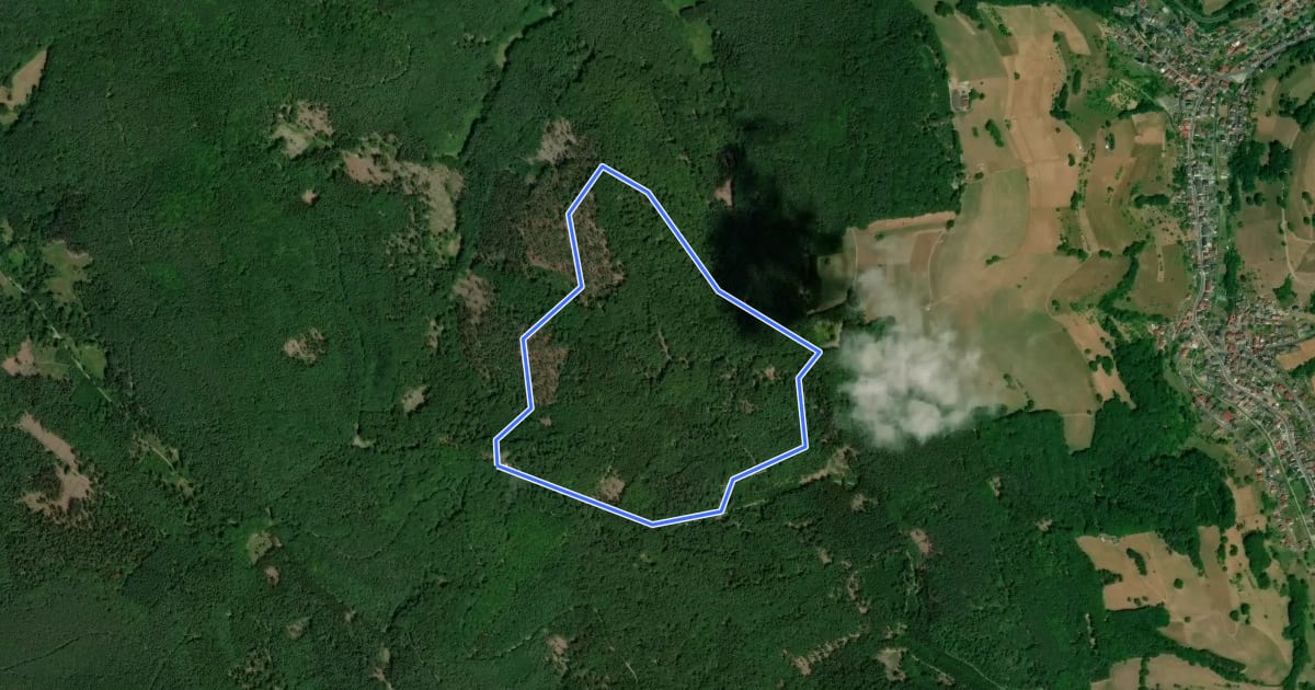 Маршрут Blauer Pilz, Rundwanderweg Hessenthal Hohe Wart на спутниковом снимке