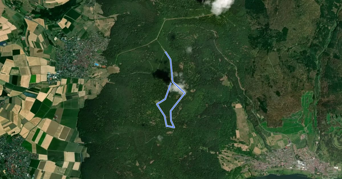 Маршрут Blauer Pilz, Rundwanderweg Mönchberg на спутниковом снимке