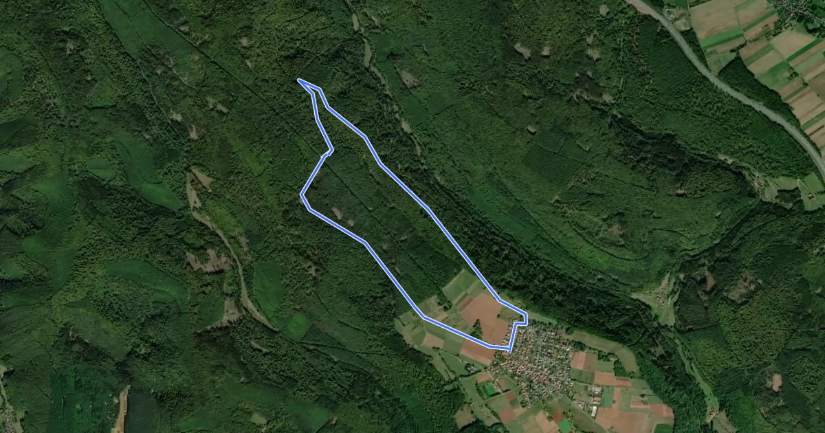 Маршрут Blauer Pilz Rundwanderweg Schollbrunn на спутниковом снимке