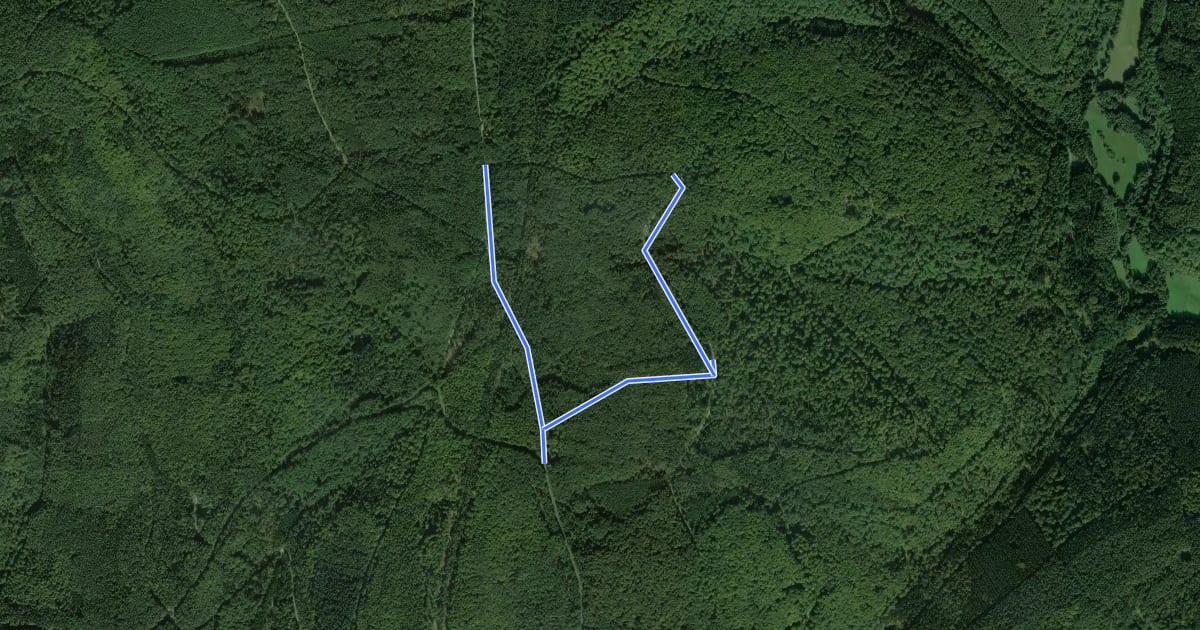 Маршрут Blauer Pilz, Rundwanderweg Schondraberg на спутниковом снимке