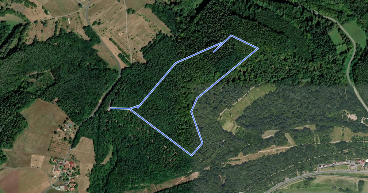 Маршрут Blauer Pilz, Rundwanderweg Stadtprozelten на спутниковом снимке