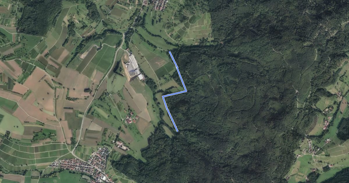 Маршрут Blauer Weiher - Parkplatz Nächstenbach на спутниковом снимке
