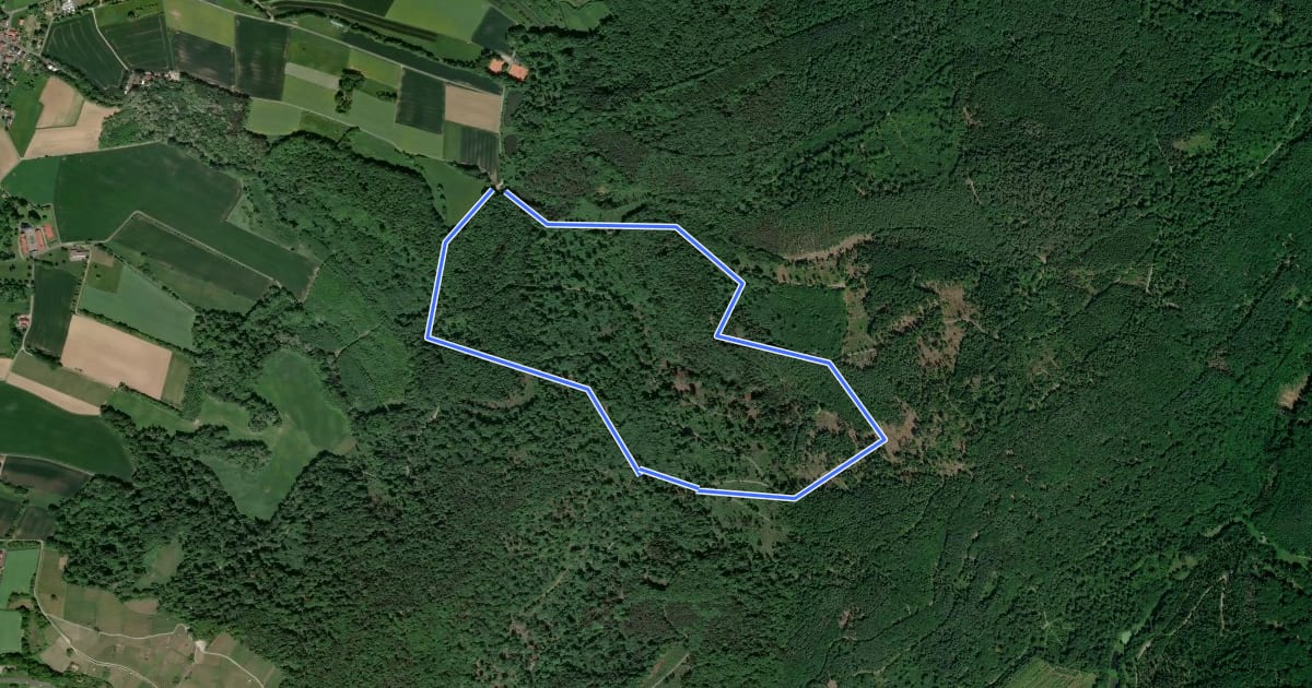 Маршрут Blaues Eichenblatt, Rundwanderweg Albstadt (Wanderparkplatz Wehmig) на спутниковом снимке