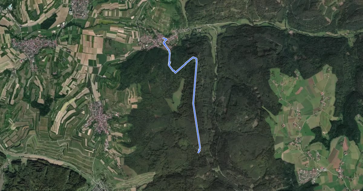 Маршрут Bleichheim Hubertuswinkel - Vogtskreuz на спутниковом снимке