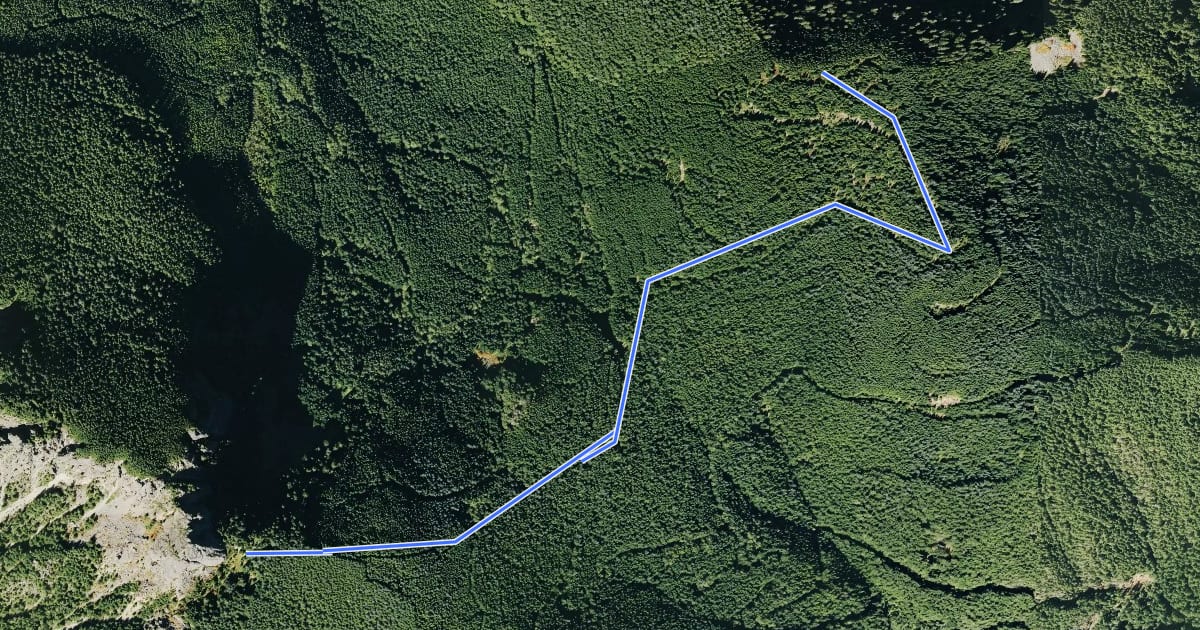 Маршрут Blowdown Mountain Trail на спутниковом снимке